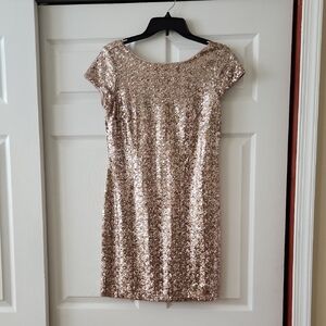 Elegant Sequin Dress